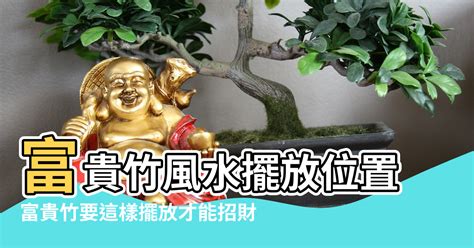 芙蓉風水|風水師揭秘：芙蓉擺放位置有講究